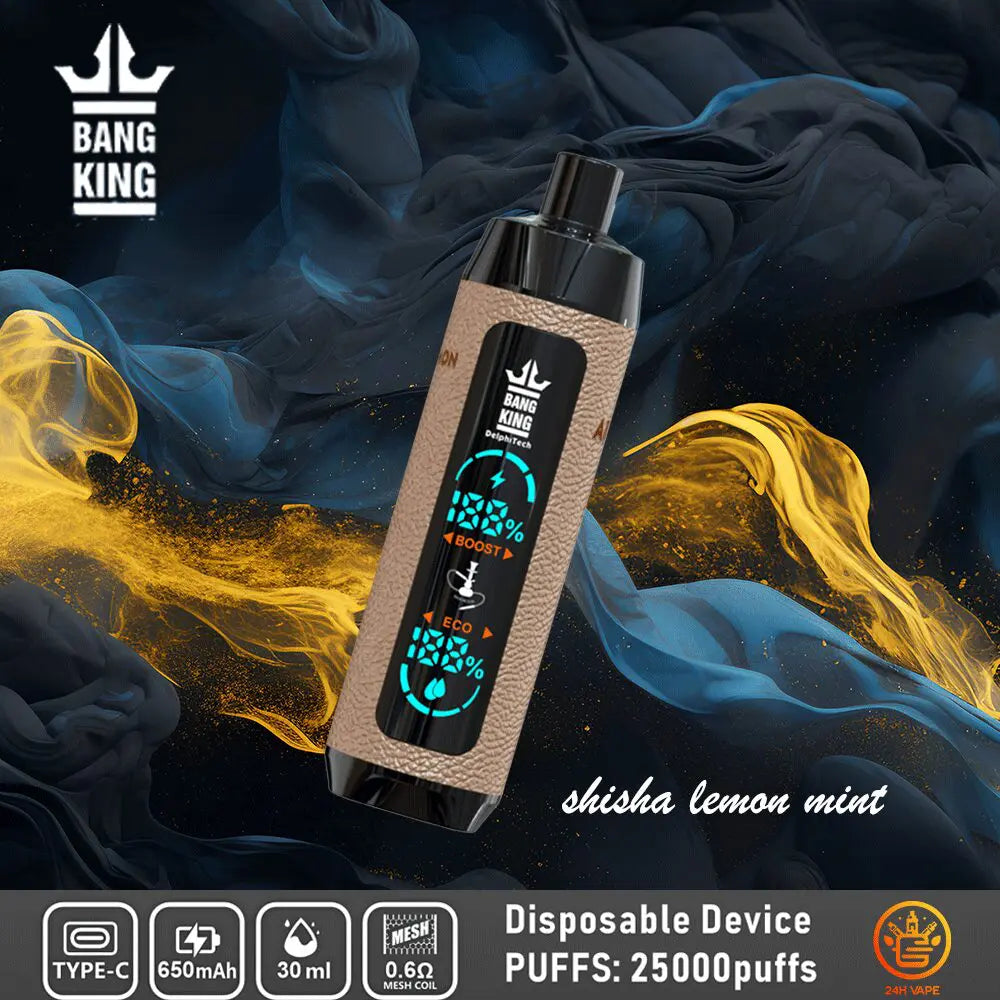 Bang King Shisha 25000 25K Puffs Newest LED Display Leather Disposable Vape Pen