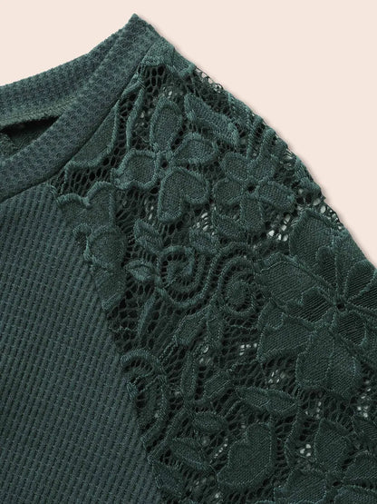 Plain Lace Panel Round Neck Raglan Sleeve T-Shirt