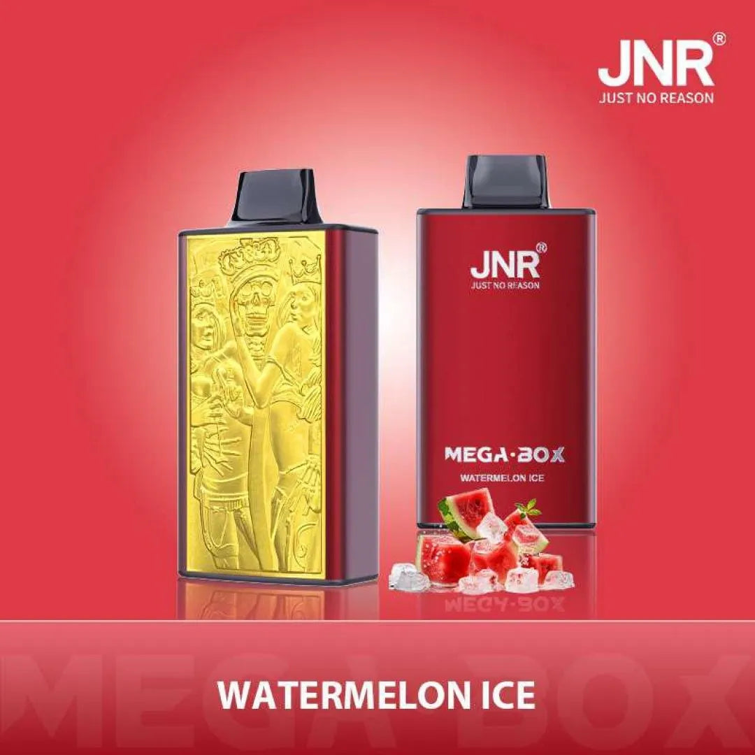 JNR Mega Box 25000 Puffs Original Edition Rechargeable Disposable Vape