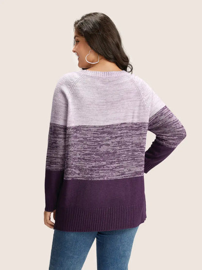 Colorblock Contrast Heather Button Detail Pullover