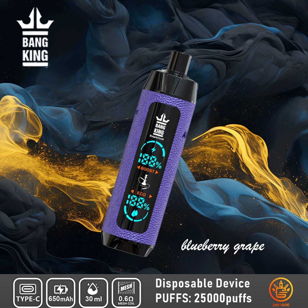 Bang King Shisha 25000 25K Puffs Newest LED Display Leather Disposable Vape Pen