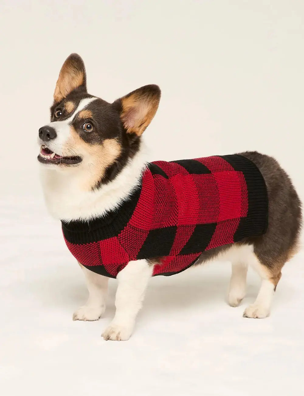 Dog Sweater