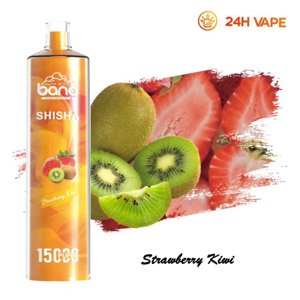 Bang SHISHA 15000 Puffs Direct To Lung Disposable Electronic Cigarette New Vape Pen