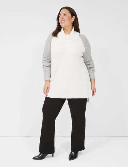 Turtleneck Colorblock Sweater