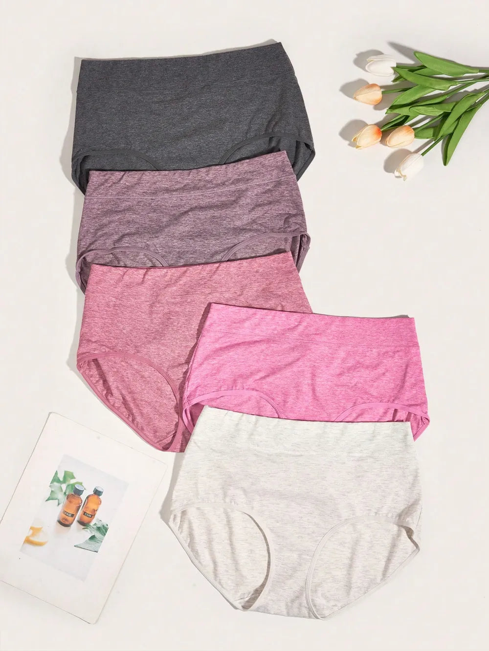 Plus 5 pack Solid Panty