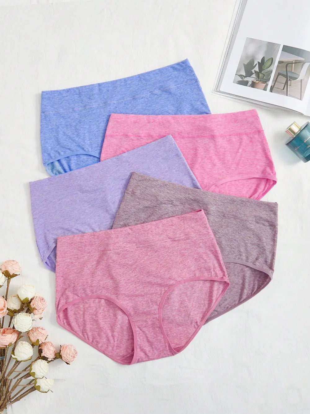 Plus 5 pack Solid Panty