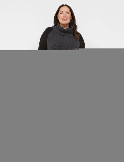 Turtleneck Colorblock Sweater