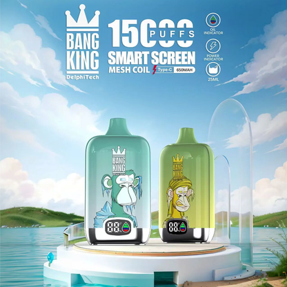 Bang King smartscreen 15000 Puffs Sell Well LED Display Disposable Vape