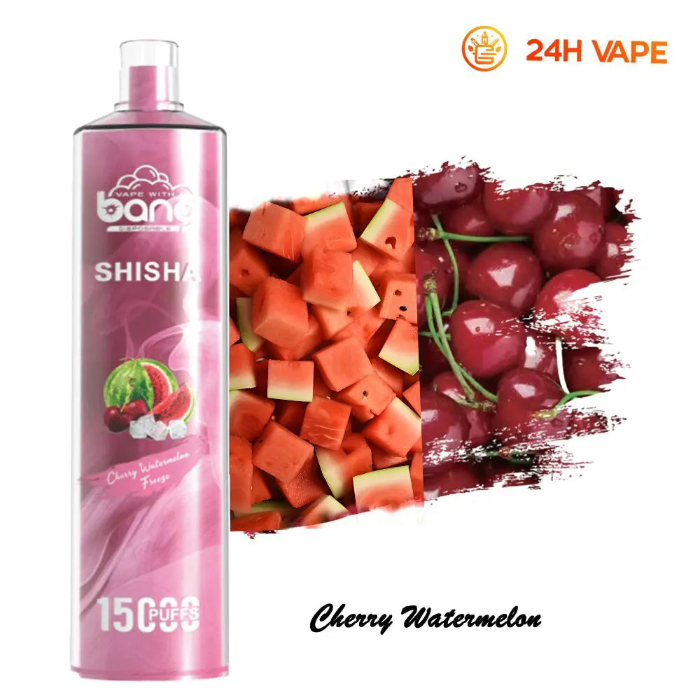 Bang SHISHA 15000 Puffs Direct To Lung Disposable Electronic Cigarette New Vape Pen