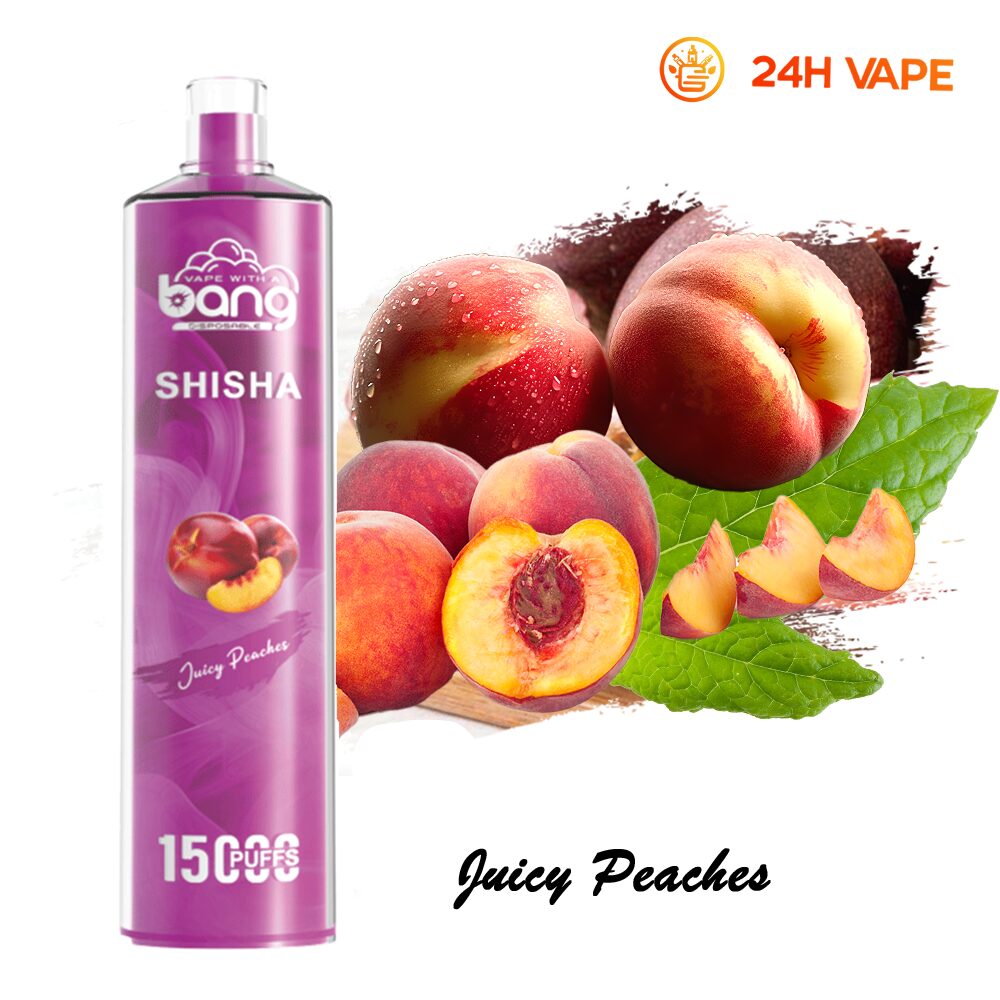 Bang SHISHA 15000 Puffs Direct To Lung Disposable Electronic Cigarette New Vape Pen