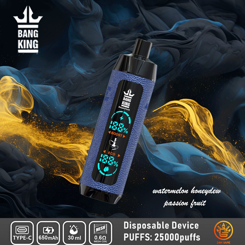 Bang King Shisha 25000 25K Puffs Newest LED Display Leather Disposable Vape Pen