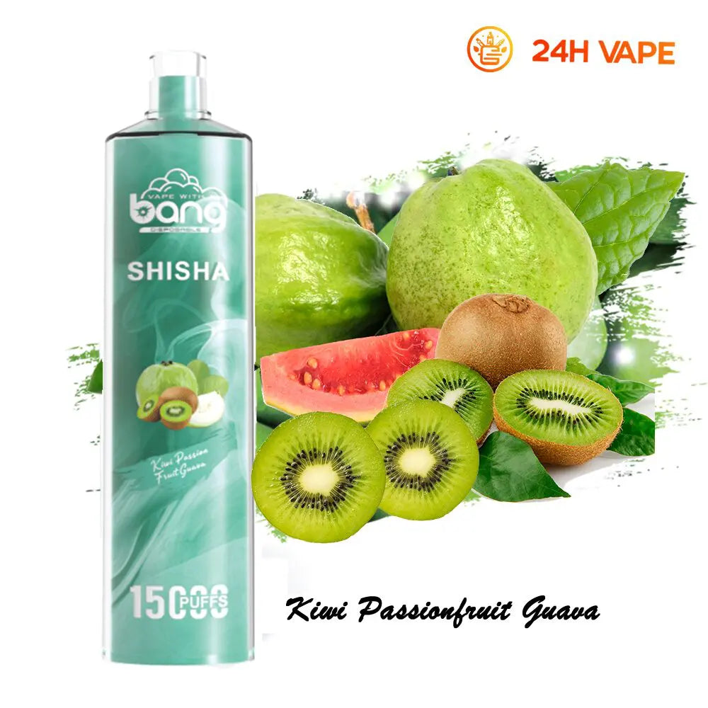 Bang SHISHA 15000 Puffs Direct To Lung Disposable Electronic Cigarette New Vape Pen
